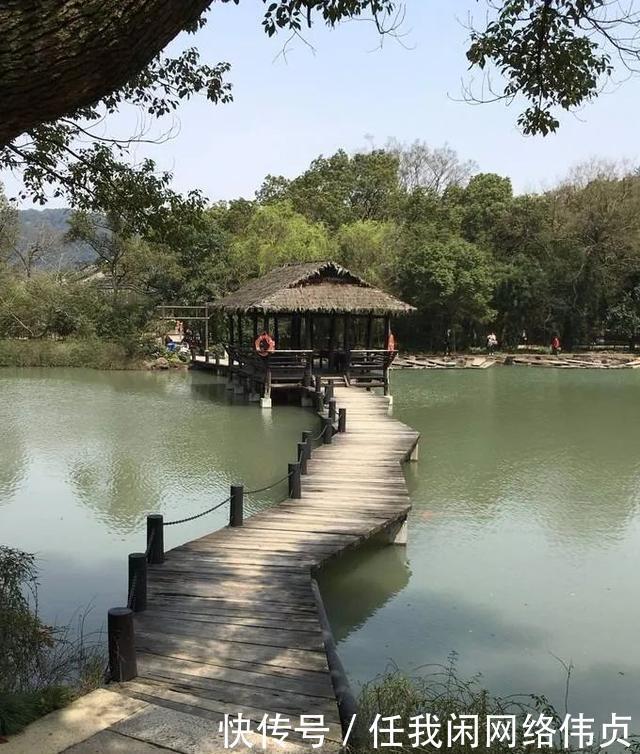 春回锦绣主风光，更着群芳重野堂。七绝《韶景》