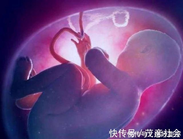 孕妈|怀孕时做到4个“不碰”，可以保持羊水清澈，宝宝生活环境超干净