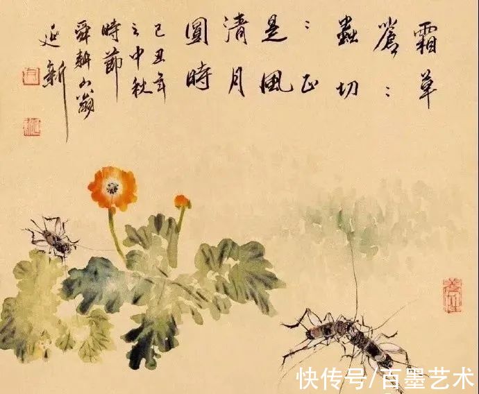 新画|国画草虫的世界，趣味多多