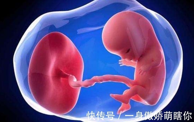 丛林|没有人教婴儿说话,他们长大后会形成自己的语言吗?真相太残酷了