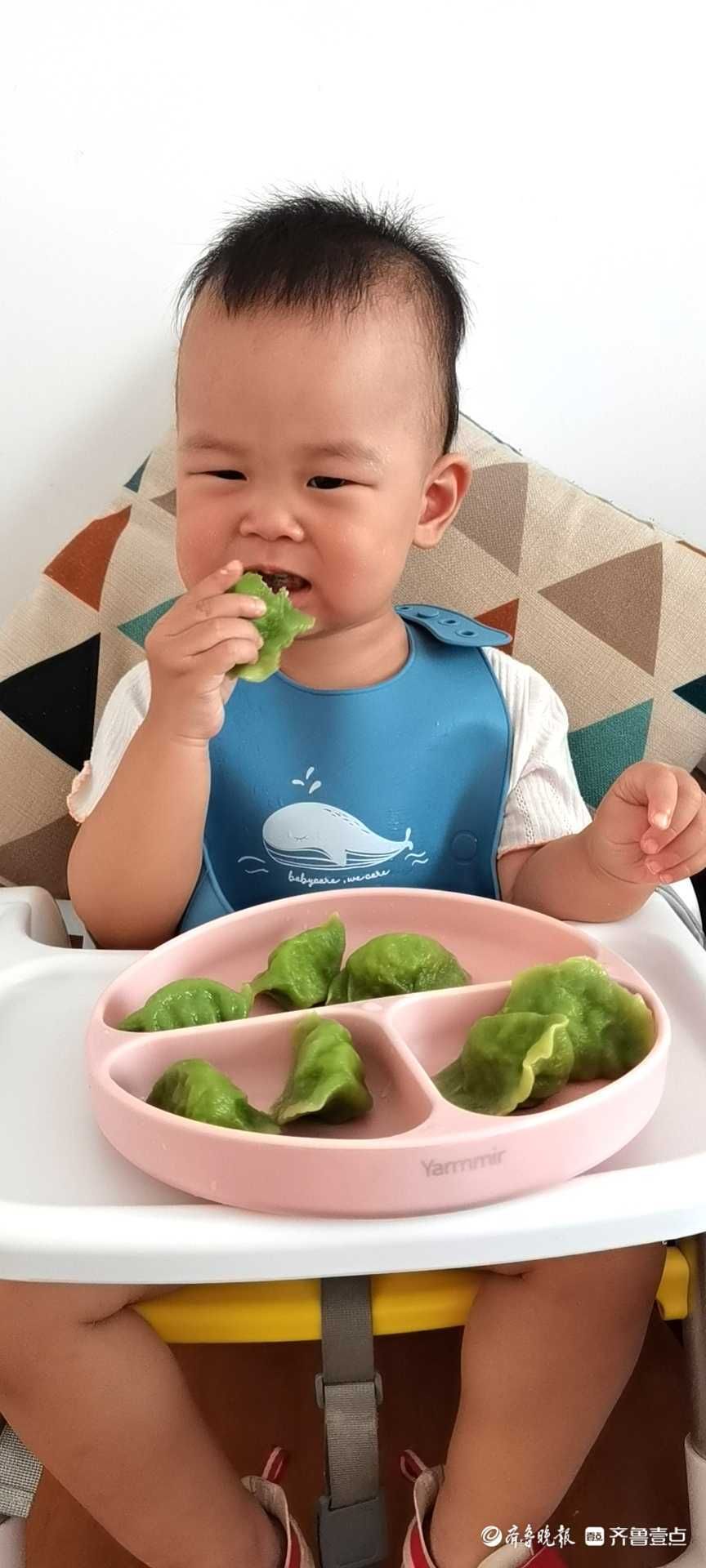 太鲜美了！好吃的翡翠绿鲅鱼饺子出锅啦|壹粉食堂| 齐鲁晚报