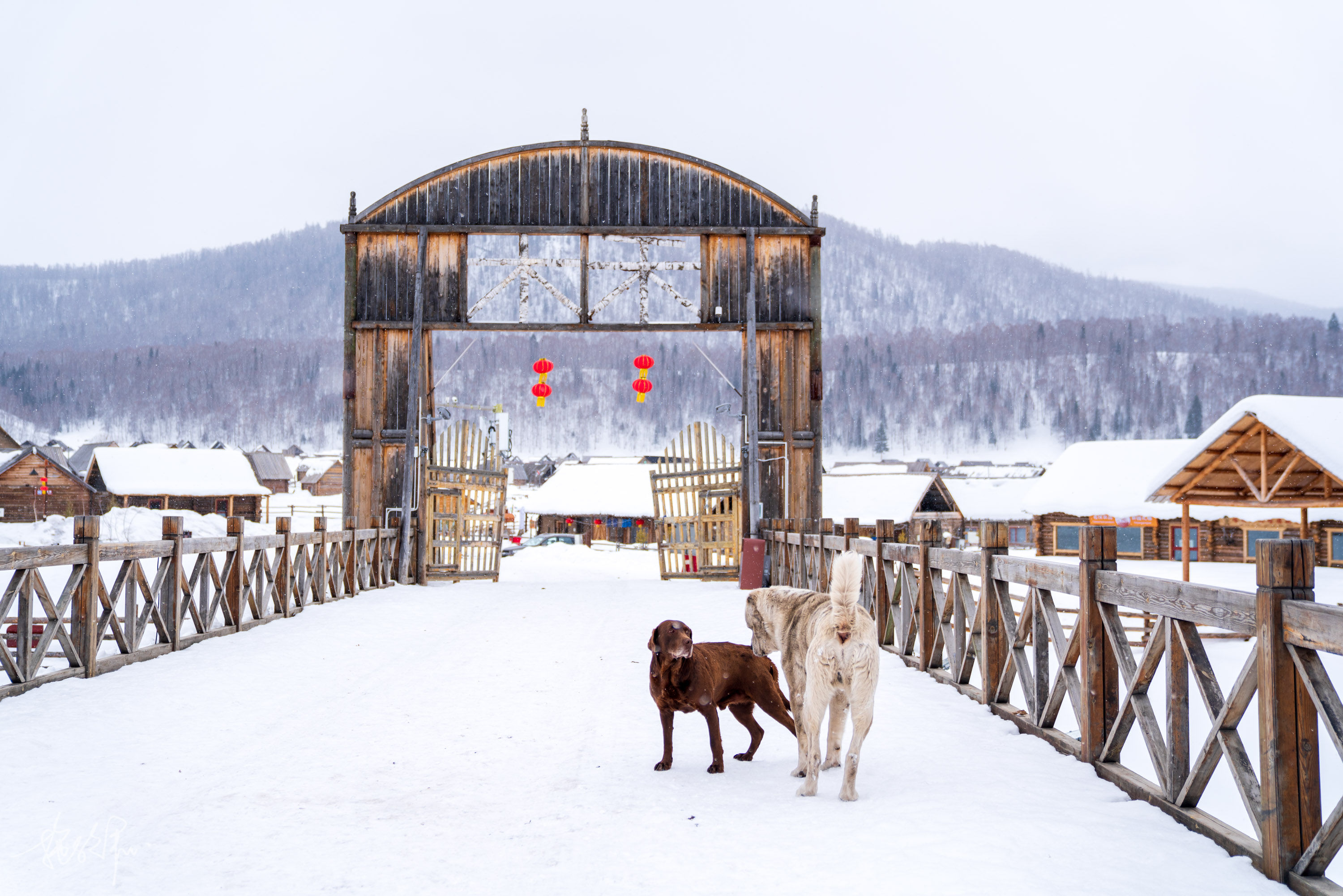 自驾新疆23天：北疆冰雪童话世界（上）