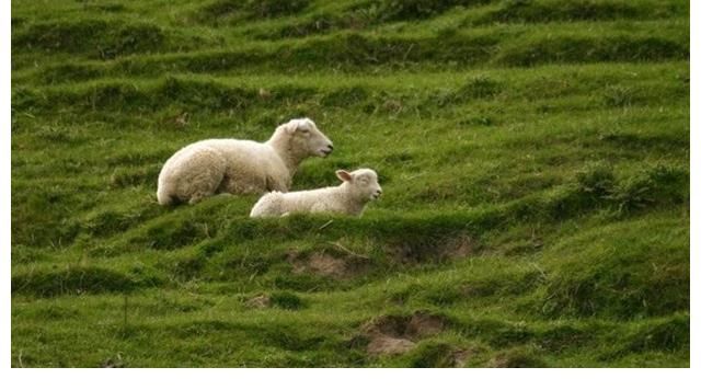 土地|《资本论》：什么是“原始积累”？农民的土地为何会被社会剥夺？