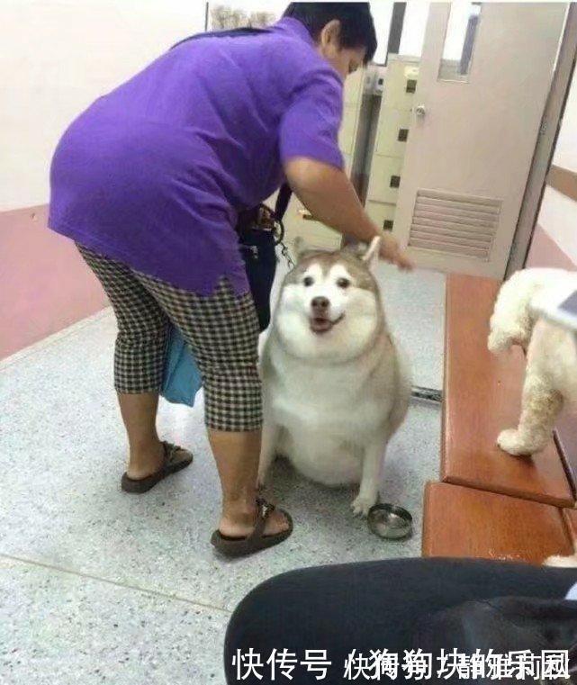 |爆笑段子:那脸上的几道血印子非常醒目,到现在都感觉对不起他