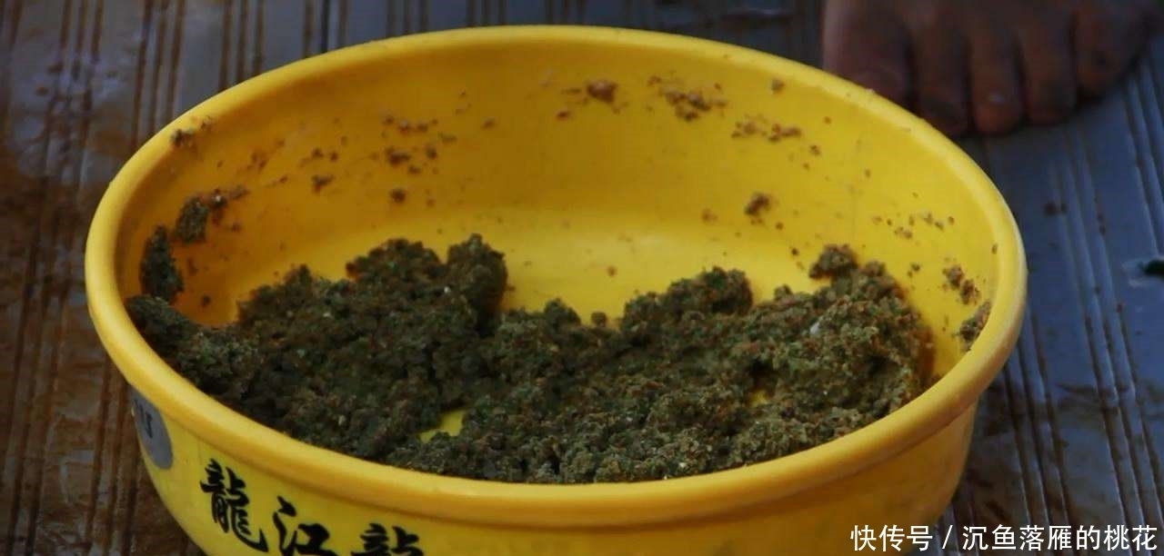 窝子|鲤鱼口滑不轻易开口,试试这几招,只要有鲤鱼,不怕不开口