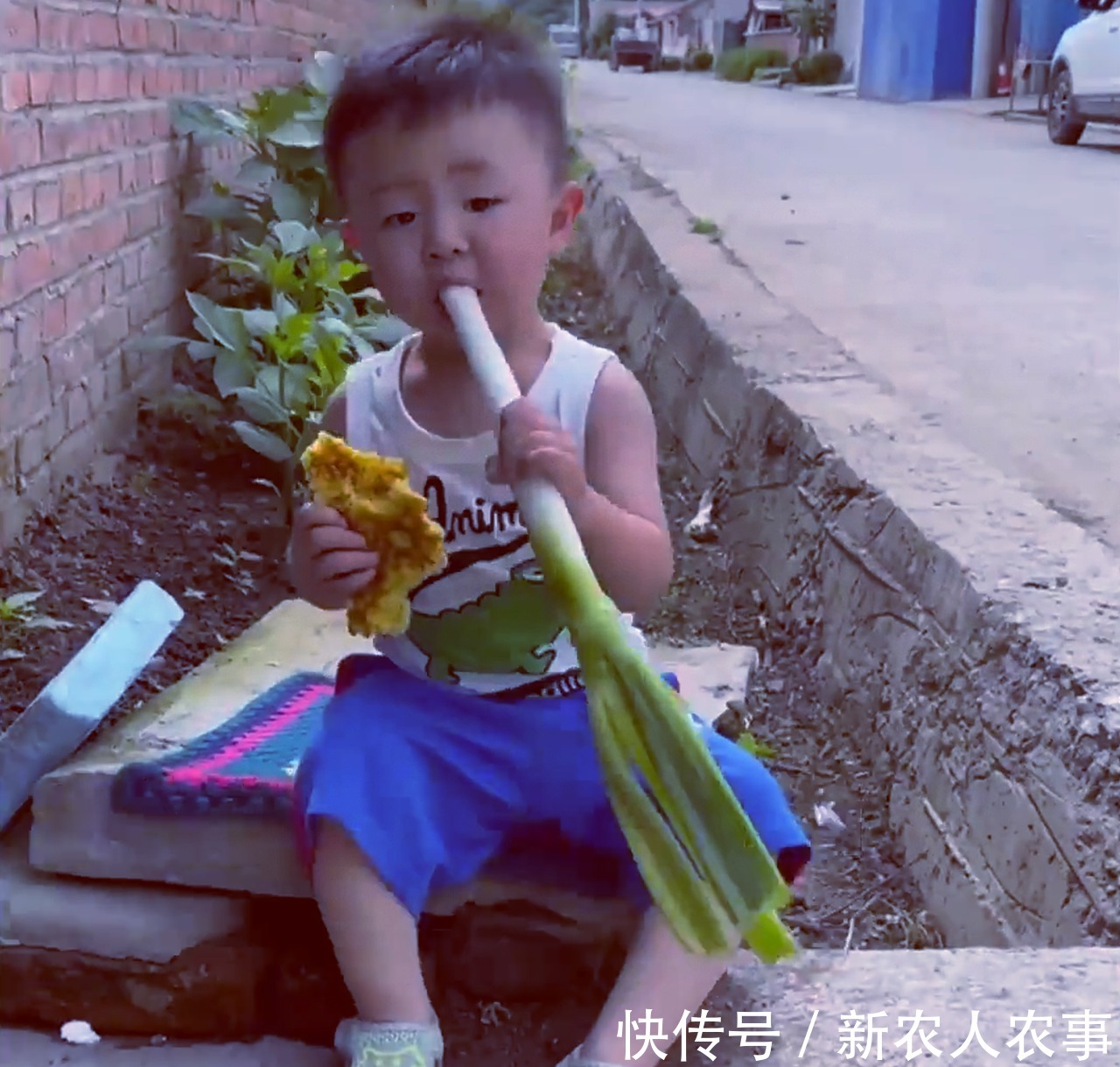 萌娃|萌娃回农村过暑假,彻底放飞自我成“鸭霸”,回到城里后却郁闷了