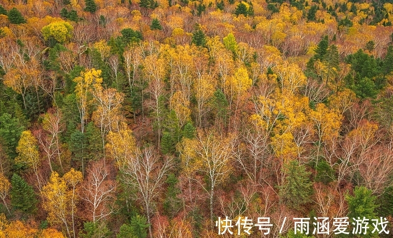 东北|小兴安岭在哪个省？这座东北小城市，好吃的还不少！北京可直飞！