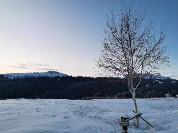  区税务局驻|大雪节气，想和你一起去看雪！一起，慢慢白了头~