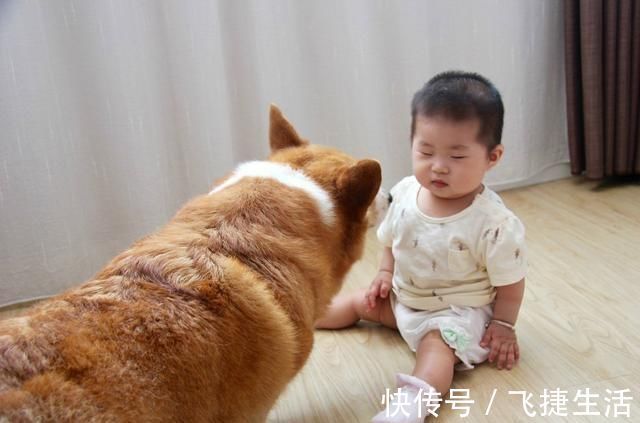 宝宝|宝宝的这些表现可能和智力有关，家长要注意