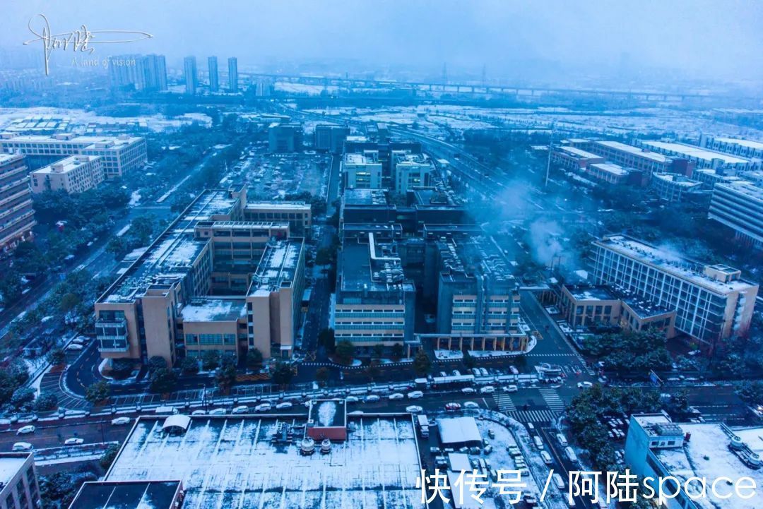 西溪|杭州的第二场雪如约而至，在城郊，发现一些与众不同的风景