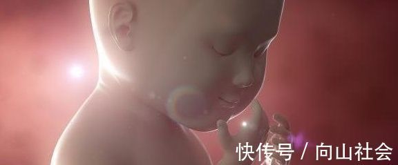 大脑|孕期重要的“3个阶段”,孕妇把握好,可能会迎来“高智商宝宝”