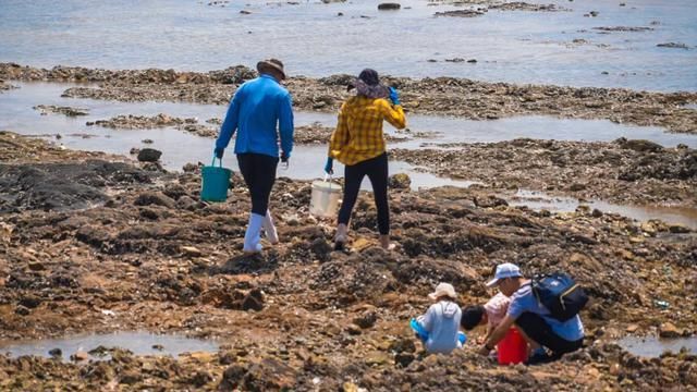 海参|潮汐公社清凉一夏欢乐拾贝周盛大开幕，泽库镇迎来“赶海潮”