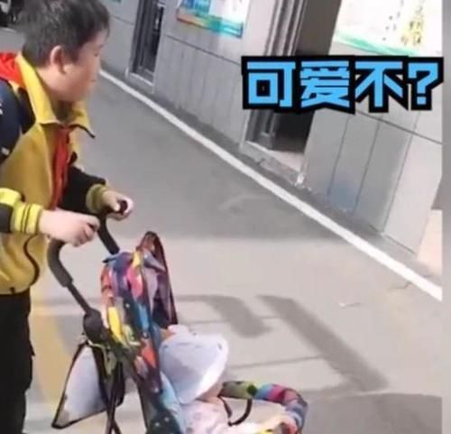 炫妹|小男孩路上“遛妹妹”,逢人就炫耀自己有妹妹,爸妈哭笑不得
