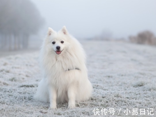 生肖|下周开始，迎来一波好运气，贵人祝福，状态大好，聚财连连的生肖