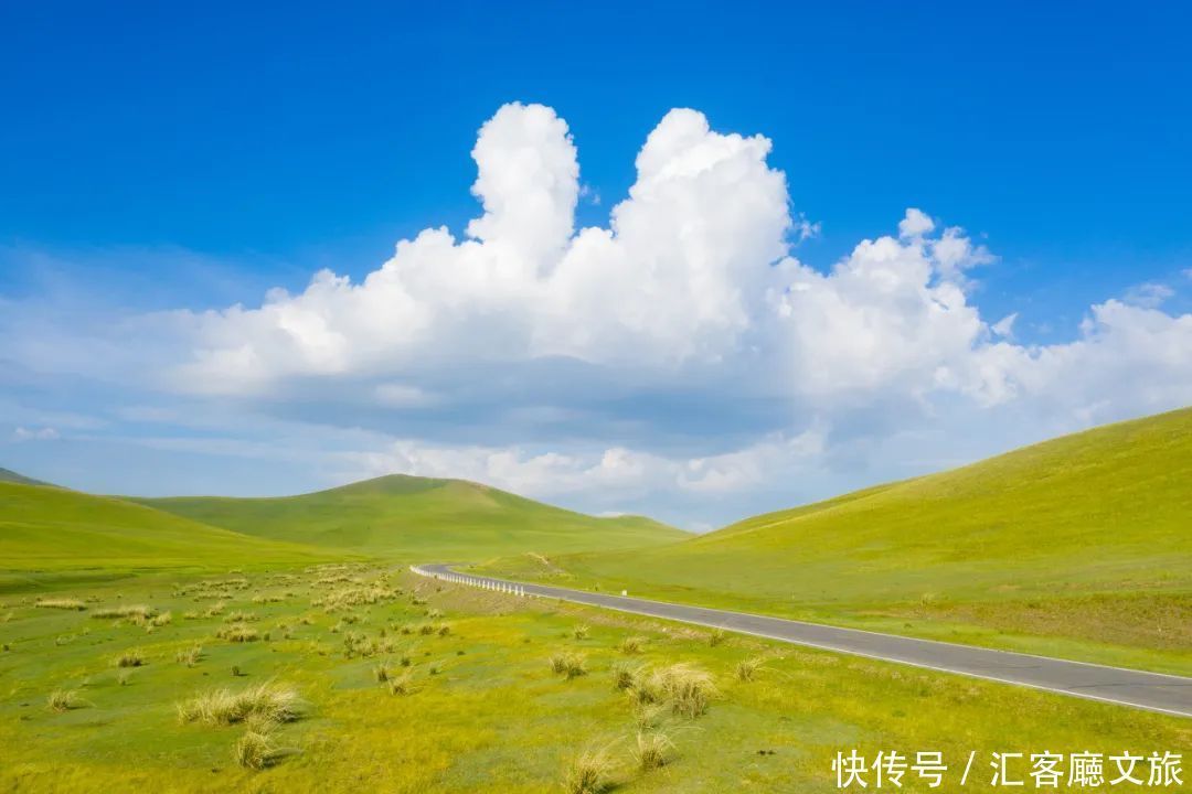 樟子松|这个夏天，我劝你一定要去一次内蒙古 ！