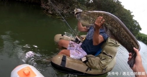 两人强强联手钓获大鱼,忍不住举起大鲶鱼,网友:只有羡慕的份