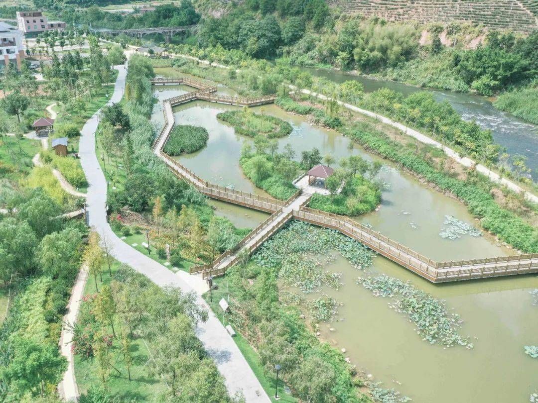 乡村振兴开新局 福建漳平聚焦焦兴美富