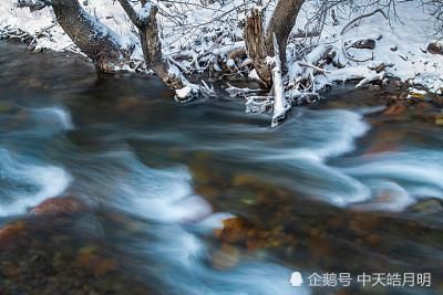 今宵谁与诉衷肠|鹧鸪天·今宵谁与诉衷肠