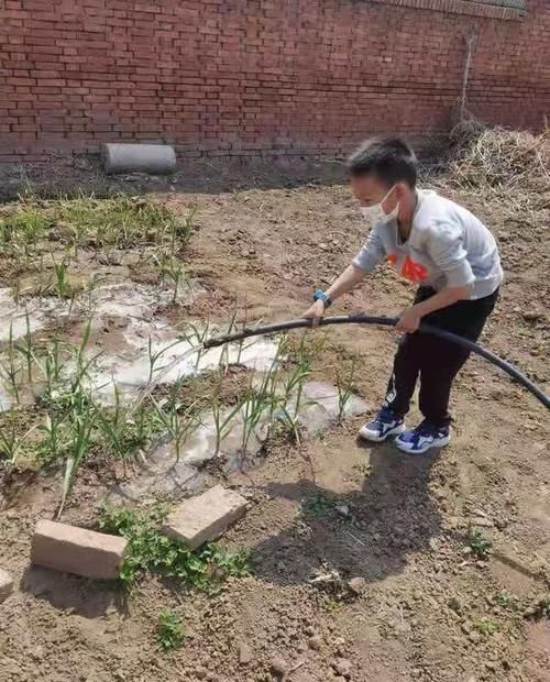 石家庄市维明路小学：让孩子过有劳动的劳动节才有意义