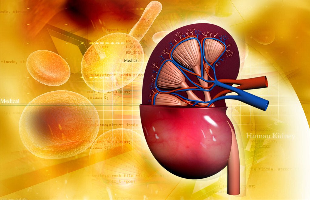 糖尿病肾病患者|3个中成药，多靶点改善糖尿病微血管病变，减少尿蛋白保护肾功能