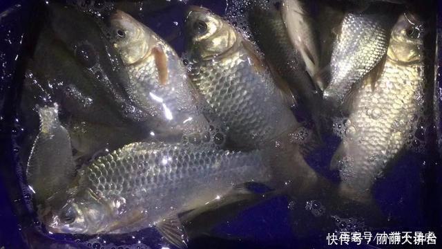 线组与鱼竿这样搭配,效果更好