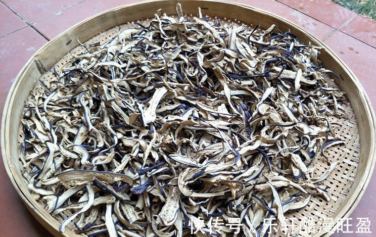 茄子|三伏天多晒些茄子干，到冬天做菜吃，比新鲜茄子都美味，教您方法