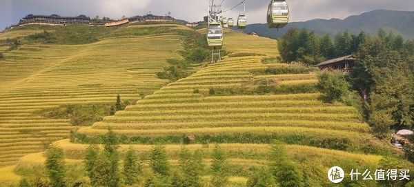 观景台|游·略 篇一：一场刚刚好的金色梯田之旅——龙脊梯田