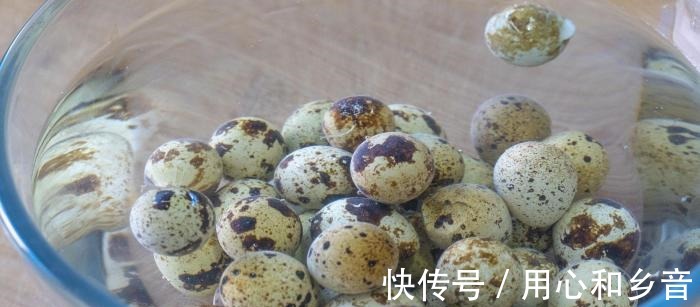 鹌鹑蛋被称“动物中的人参”，要做给孩子吃，教你最营养简单做法！
