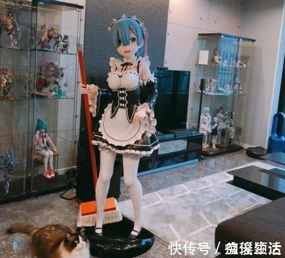 果盘|千元手办被老母亲当作果盘，还夸做工精致，宅女却只能欲哭无泪