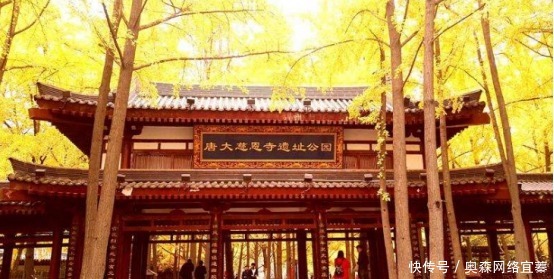 信奉佛教|唐朝最著名佛寺,皇帝为了纪念母亲而建,在佛教史上非常重要