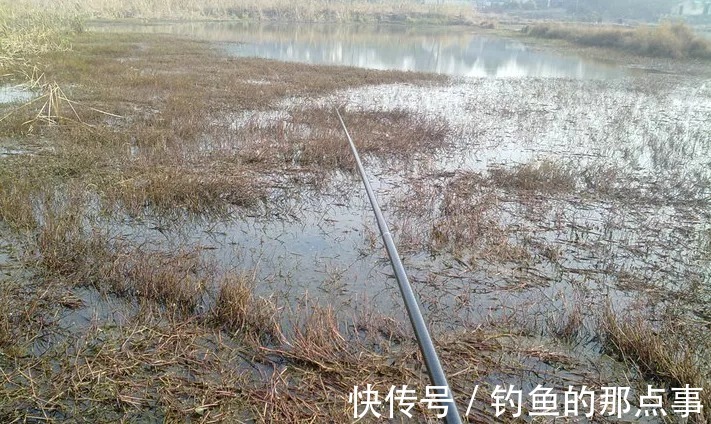 冬钓最适合使用隔夜窝,满足这四点进窝的鲫鱼才会多