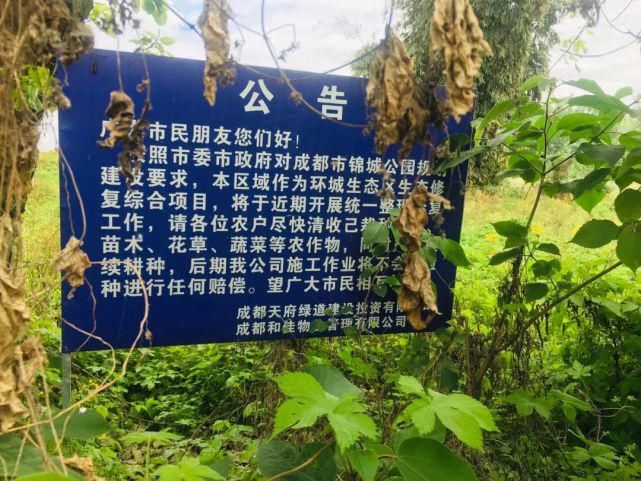 居住区|大丰这个区域将是城北高端居住区？很有可能！