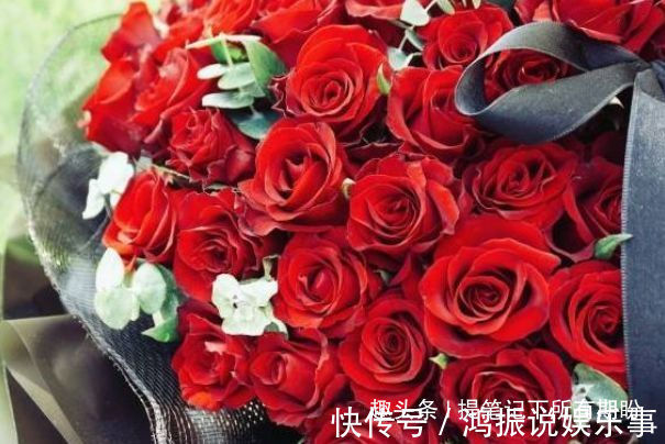 卡罗拉|喜欢牡丹,不如养盆优良玫瑰“卡罗拉”,花开红如焰火,绚丽典雅