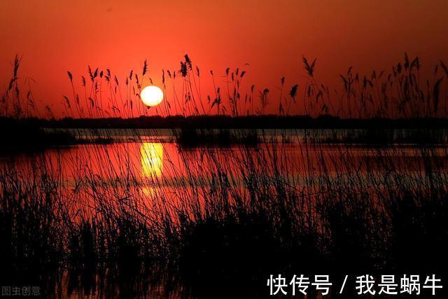 外公|三胎政策放开,看看带娃的主力军是怎么说的,一起来了解一下