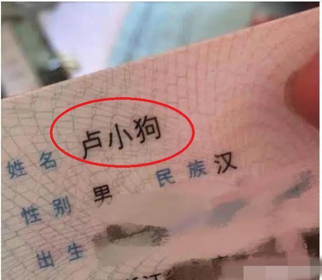 取名|孩子姓“张”，出生证被医生打错，妈妈看到后大喜：就这样不改了