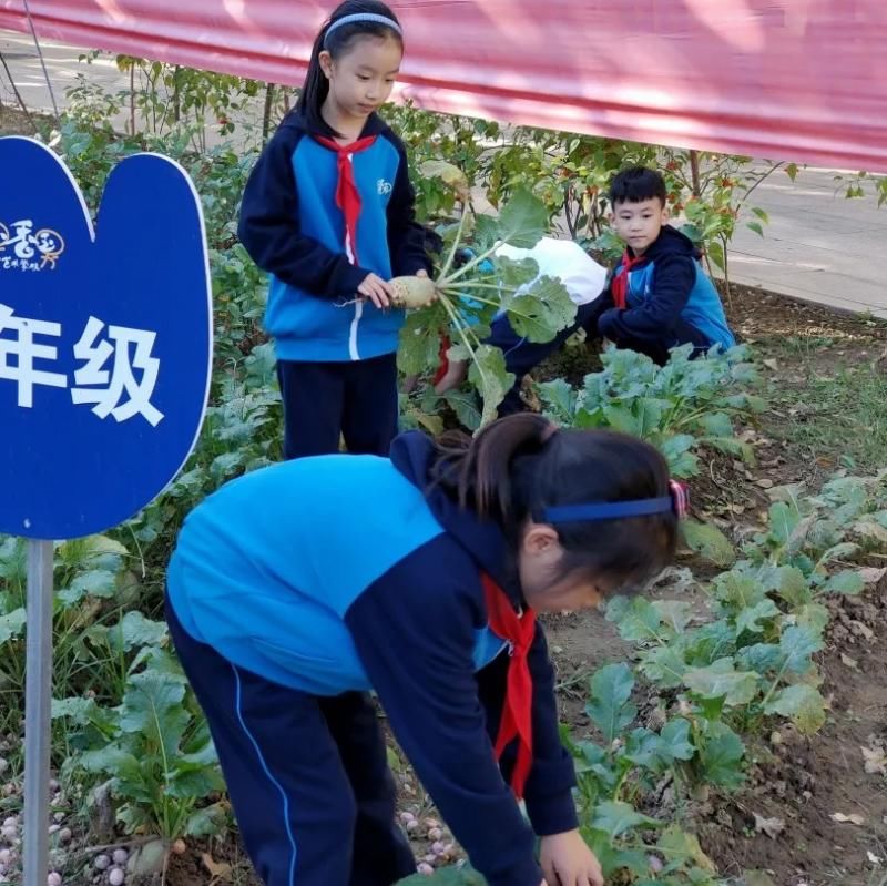 一师附小|劳动教育进行时 平谷创设多彩劳动课程