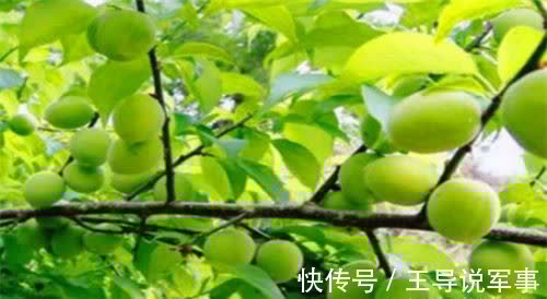 小蛮腰|女性想减肥,不妨多吃三种物,排出湿气,清理肠道,瘦出小蛮腰