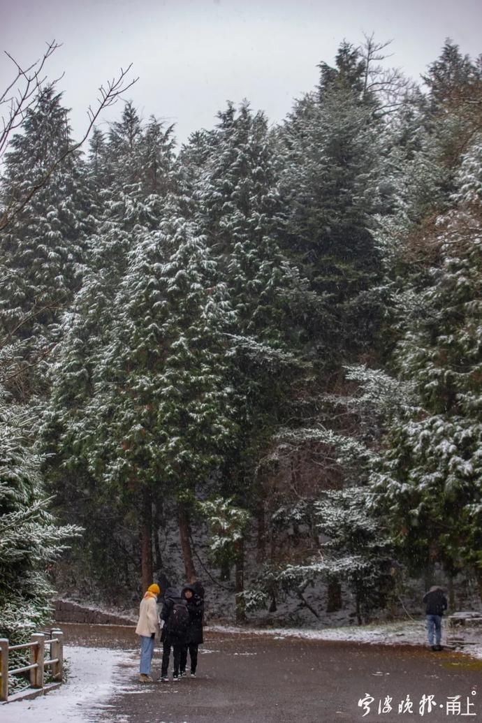 来访|初雪来访，宁波四明山这条公路迎来游客打卡！现场美成这样