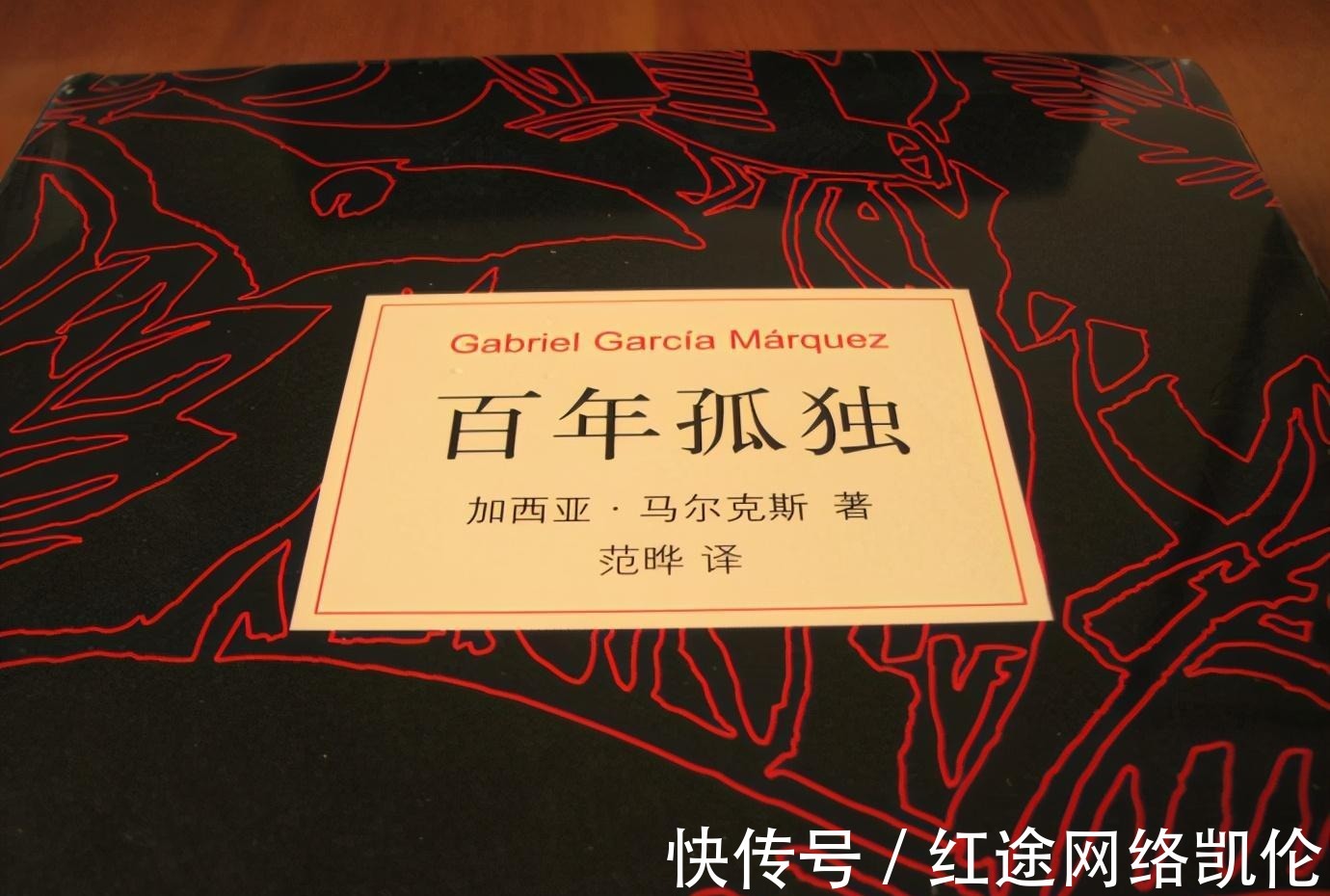 家族|如果一生只能读一本书,为什么选择马尔克斯的《百年孤独》?