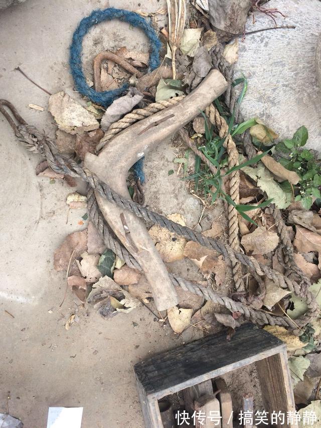 正在消逝的老物件你认识几个全用过你超“神”了