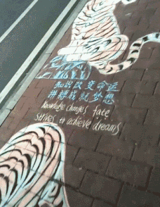 |搞笑GIF:摄影师你别晃了好不好我都看不清