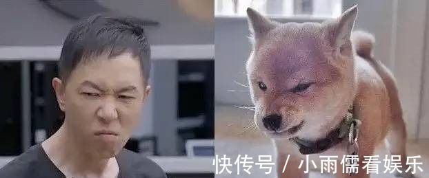 beyond|終于知道朱茵為什么嫁給黃貫中了