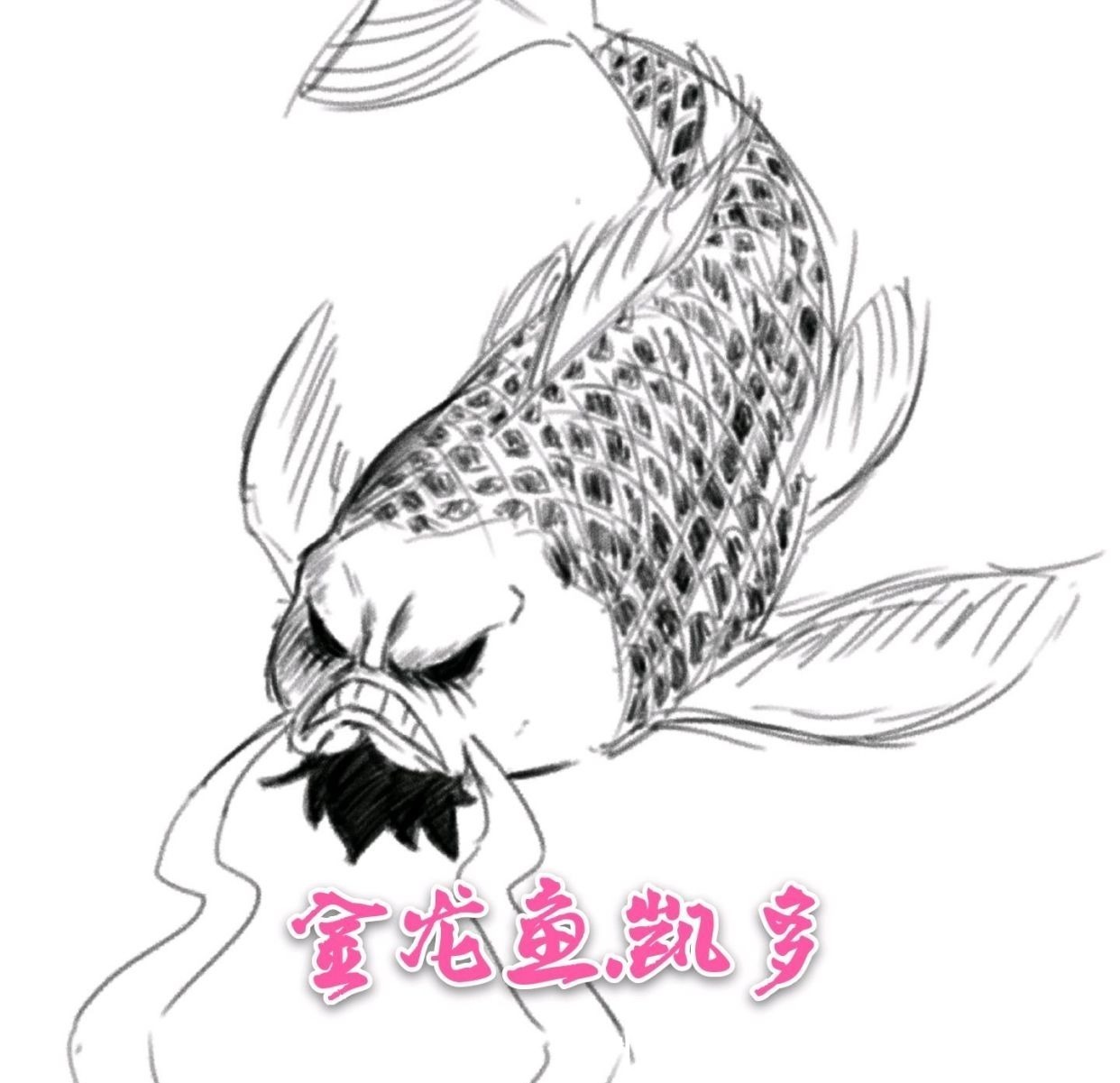 白胡子|凯多再见各位!海贼王我不当了!大秘宝我不要了!因为我要红了