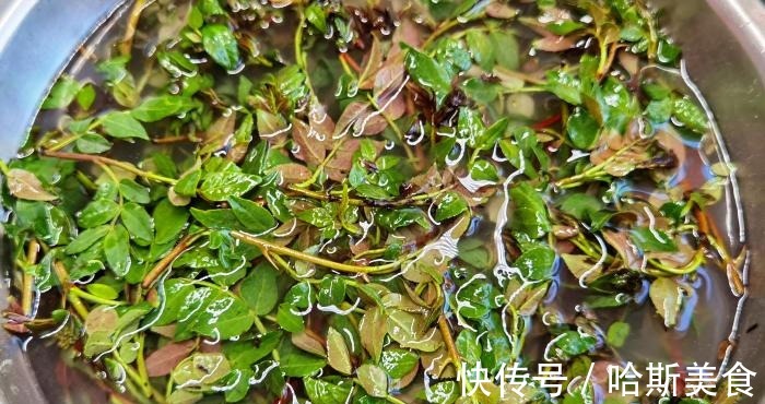 开胃|很多人只吃种子,其实叶子才是宝贝,简单一拌,开胃解腻,比肉香