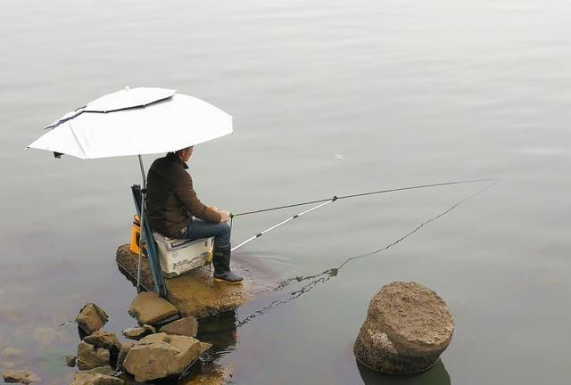 为什么现在很多钓友由台钓改为传统钓?这才是主要原因