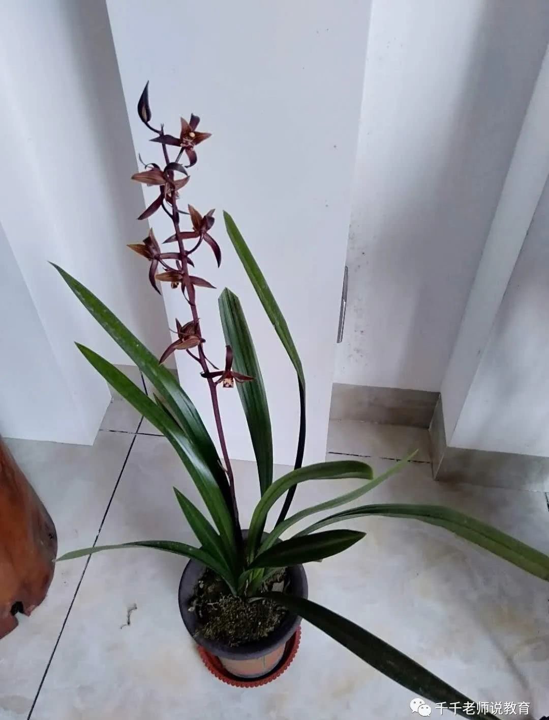 天道|从史记人物伯夷和叔齐看“天道是非”