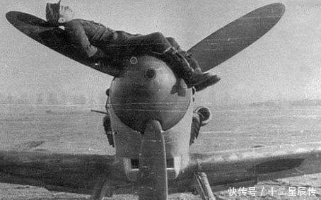 二战|二战士兵搞笑照在飞机螺旋桨上睡觉,让狗装成士兵站岗