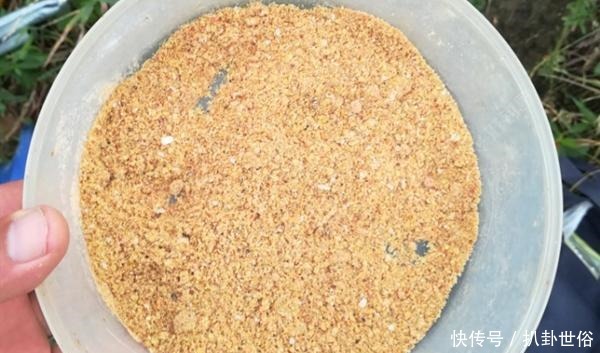 规律|清明过后钓鱼,注意这些变化规律,牢记4钓4不钓,上鱼更多!