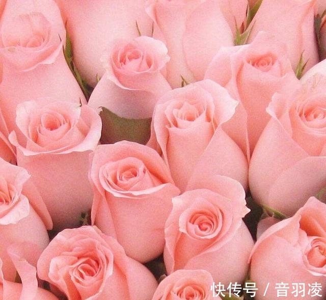 宠爱|内心善良,婚后婆婆疼爱,老公宠爱的三大生肖女,人善没人欺