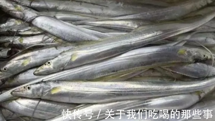 都是带鱼，为啥有的一斤10元，有的300元？老渔民告诉你差在哪儿